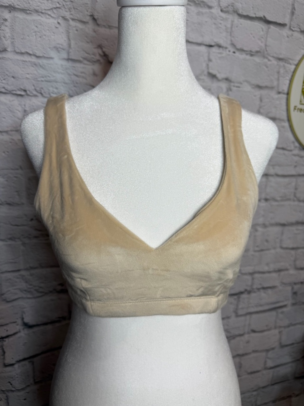 Beige Velvet V-Neck Bralette